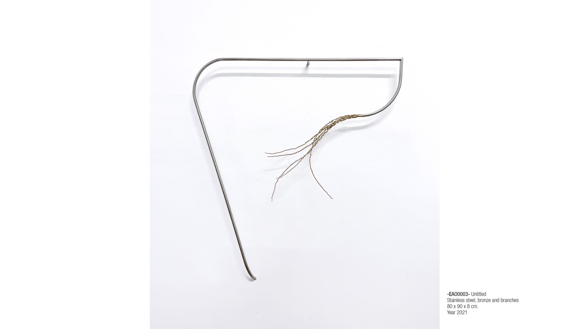 2025 DM port.para web. P33